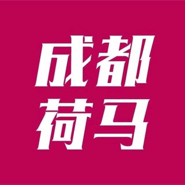 成都荷马画室