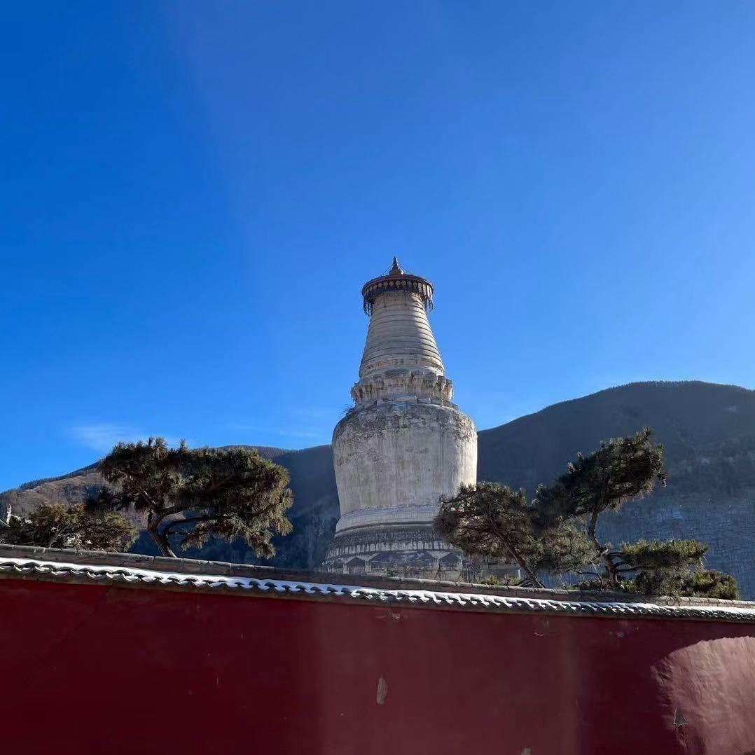 迈达万人投票评选