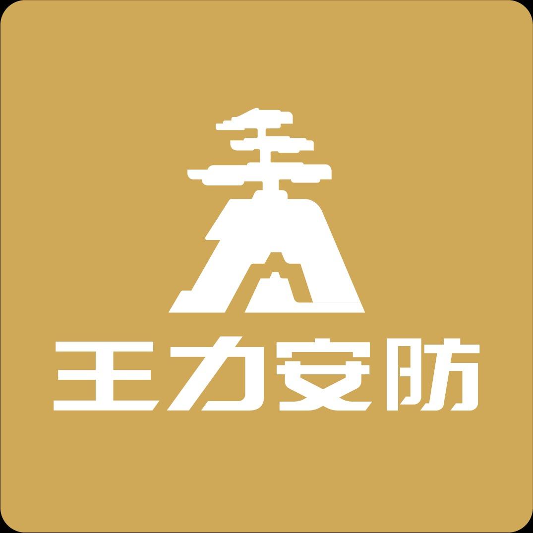 王力安防防盗安全门