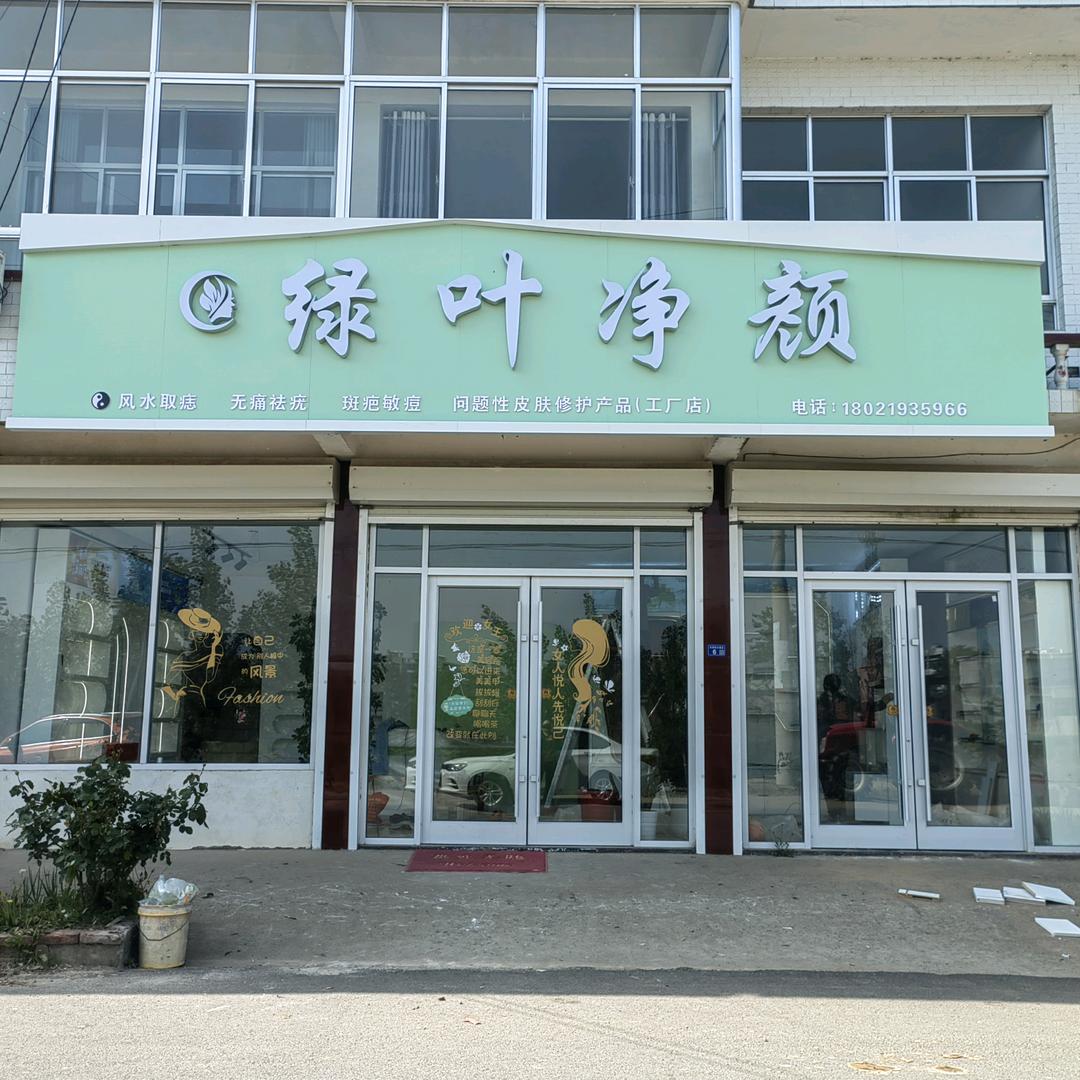 绿叶净颜