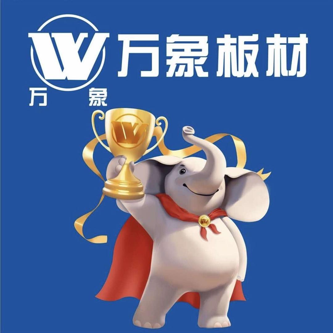 万象板材衣柜定制王总