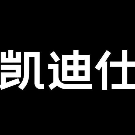 凯迪仕智能锁(汾阳店）