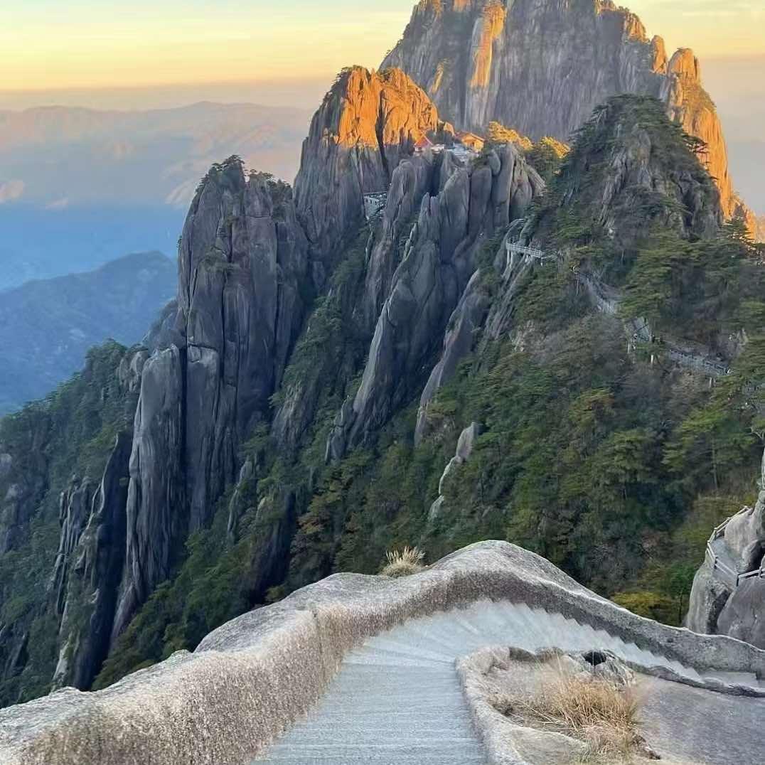 琪华公司2直播号