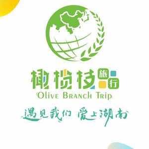 橄榄枝旅行社