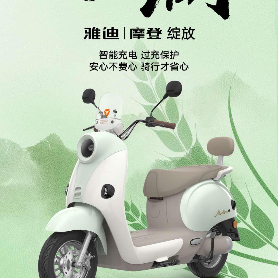 雅迪电动车(茨芭桥店)