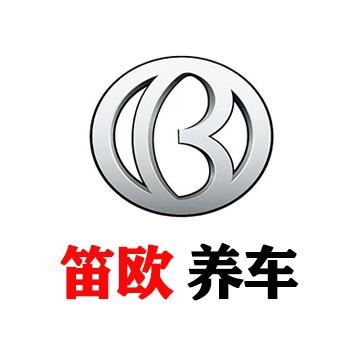 笛欧老宋（专注大保养）