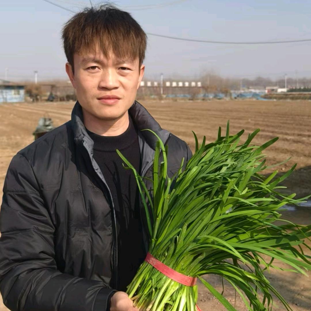 韭菜专业技术指导和服务（郭老师）