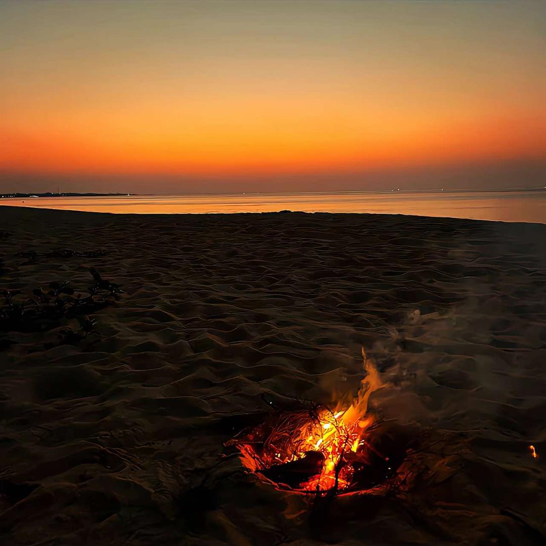 九江宏大机电 7 直播号