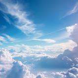 民生副食综合批发部青凌纳服务号