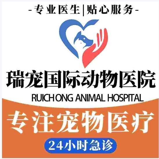 开封瑞宠国际动物医院