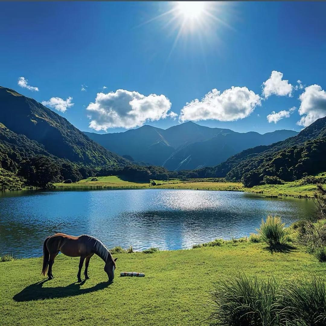 奋斗岁月·隶婵