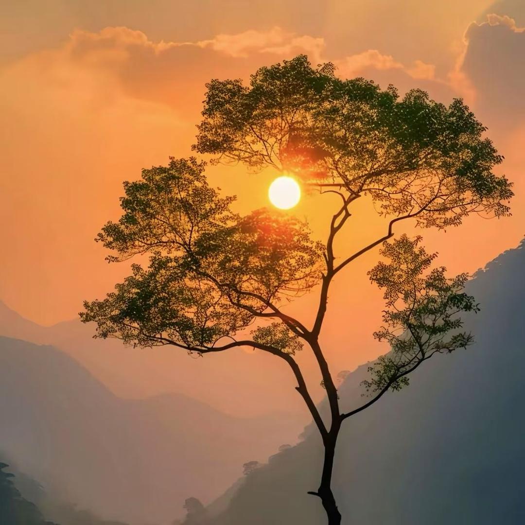 手握风云·搔扒蜜