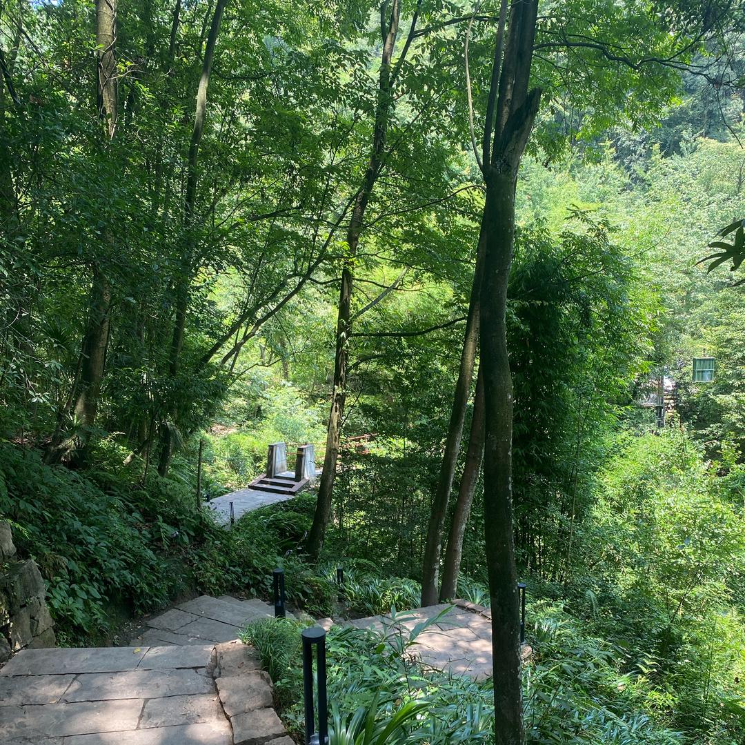 北河工业园悦己女装昨天的直播号