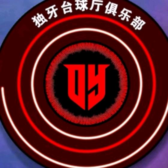 盐池县珩宇台球室（个体工商户）