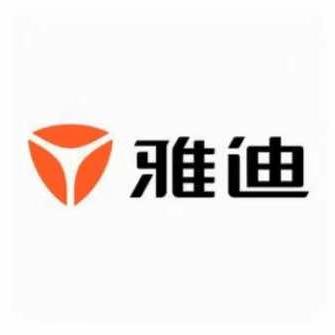 勐仑雅迪电动车(G213店)专用号