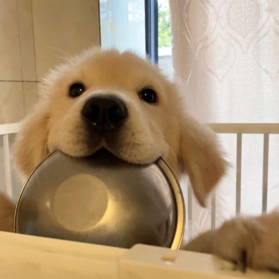 寒-