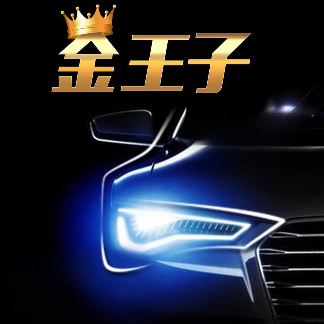 恒威金王子车灯-照明系统