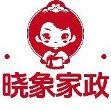 轻洁象家政