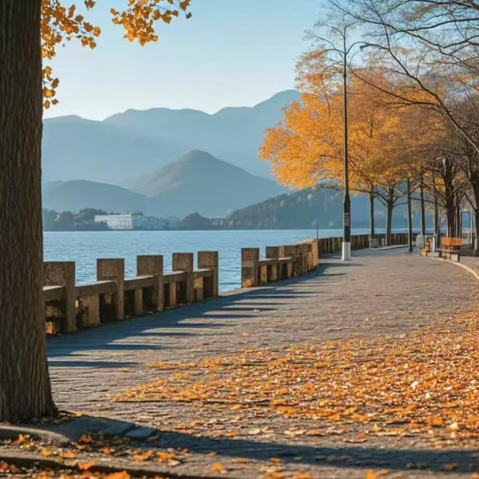 君迅科技绅光宇杨社员