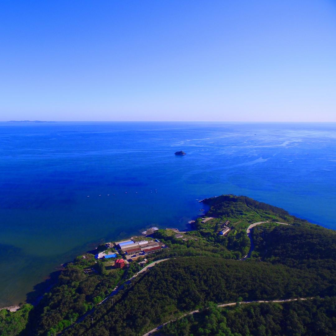 海之静