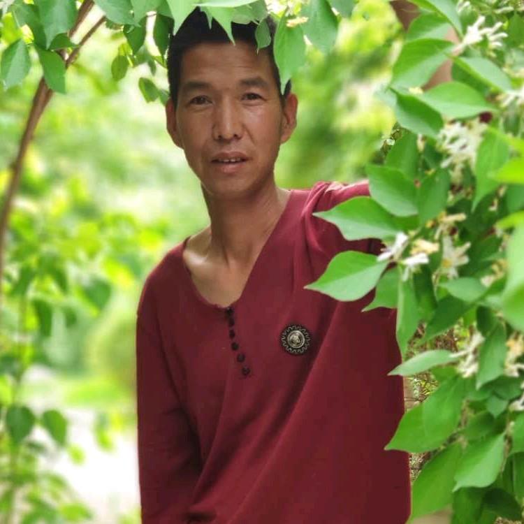 卫峰