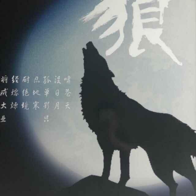 狼行天下