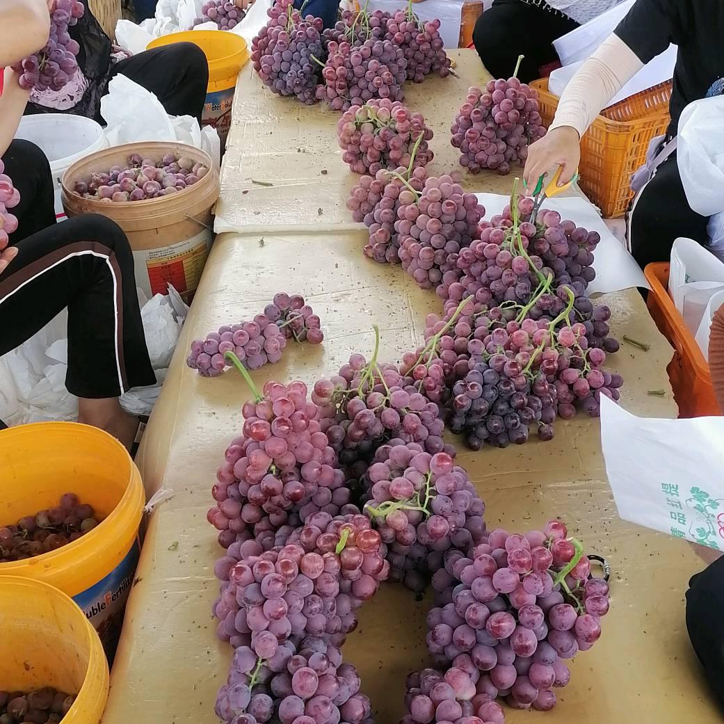 小苏代办各种水果和蔬菜