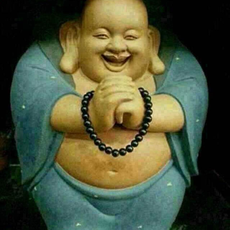 莫惹我