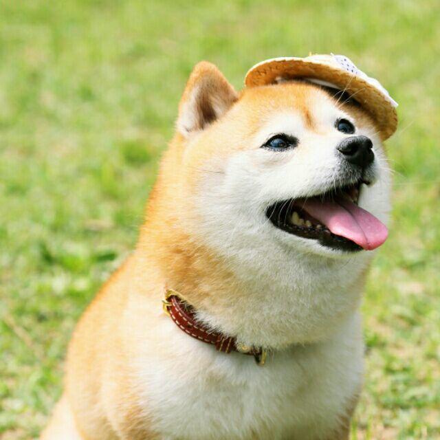 王小宝