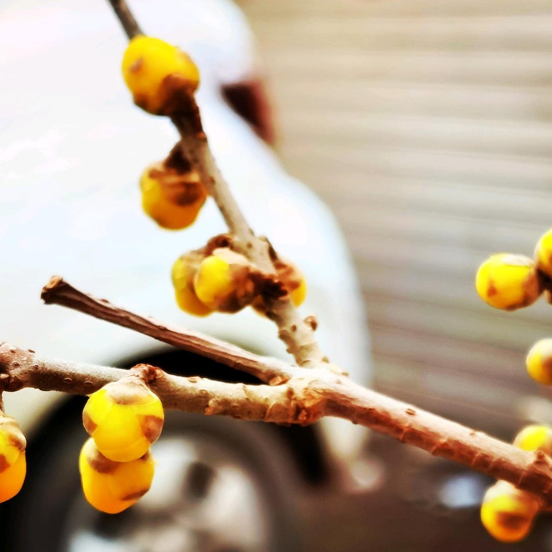 快乐人生（音乐交流）