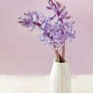 ⤷南鸢ⁱ☛丿丶离梦⁰☼💱