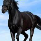 春风一去不复返