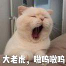 荔枝