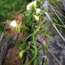 人生如戏，全靠演技