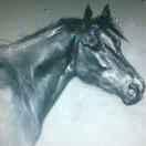 Maty