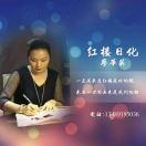 红楼楼主
