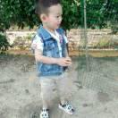 李锋