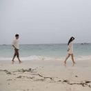 陪你去看海
