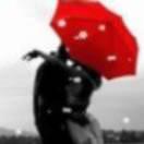 向上丶
