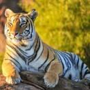 明天会更好👌，