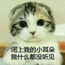 桃子爱看书