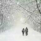 骑着毛驴上高速