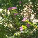 ℳღ简单᭄ꦿ就好დ᭄