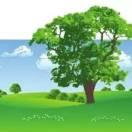 天网恢恢疏而不漏