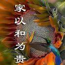 林华