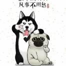 A-迷失的超人
