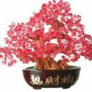 天亮了🪡就有开销：