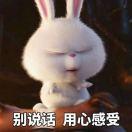 小亮哥