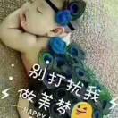 ☞张伟☜