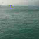 大海